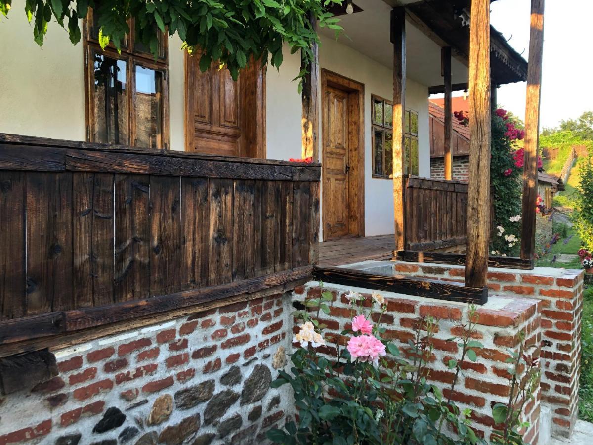 Villa Old Court Curtea de Argeş Exterior foto