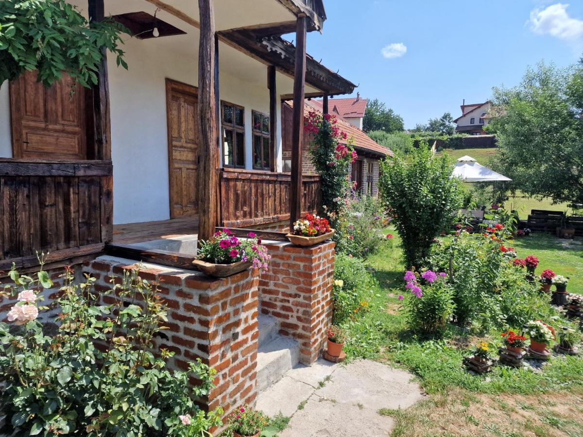 Villa Old Court Curtea de Argeş Exterior foto